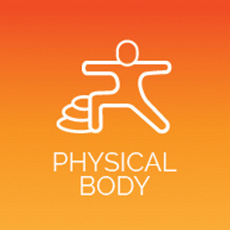 Physical Body